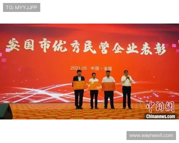 深度对话企业领袖洞察创新发展与未来战略思考及成长历程启示洞见