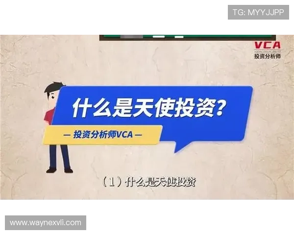 投资企业家的成长之路：从创业初期到资本市场的智慧与机遇